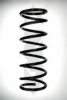 SPIDAN 56777 Coil Spring